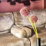 Der Valk - 's-hertogenbosch 4*